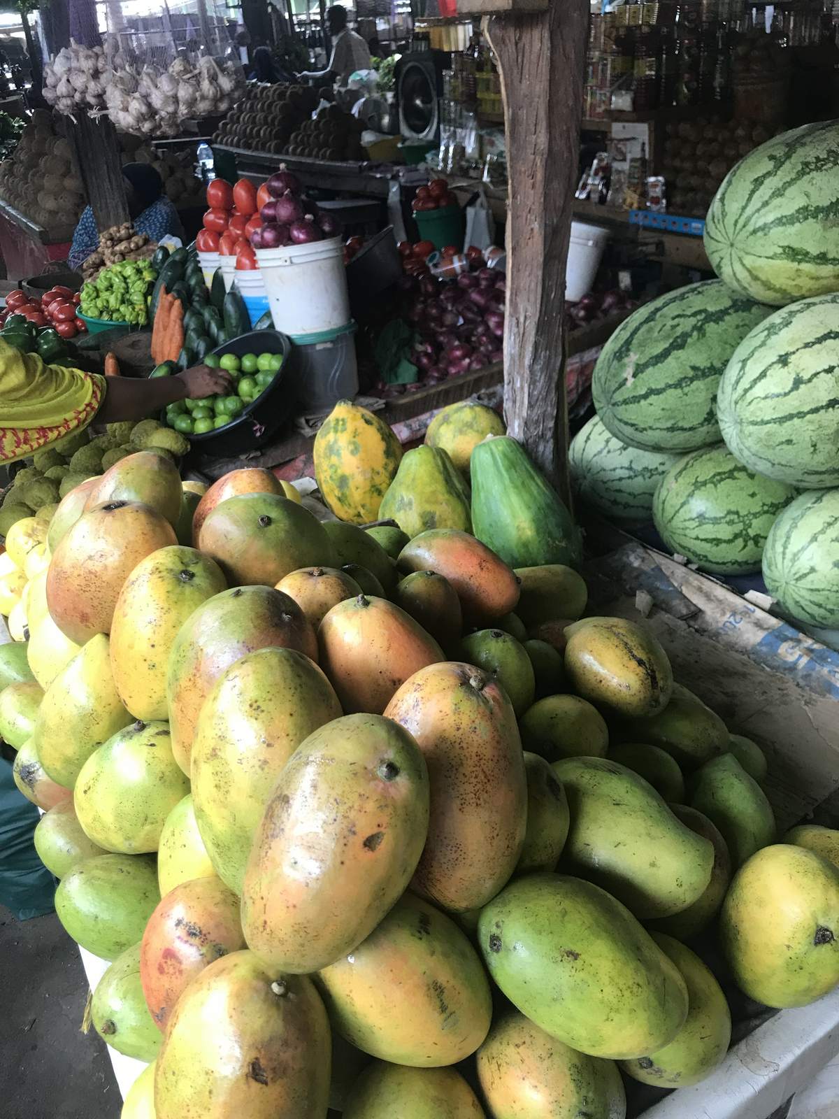 A market stall piled with mangoes and papaya, watermelons stacked behind, tomatoes and onions on the counter beyond