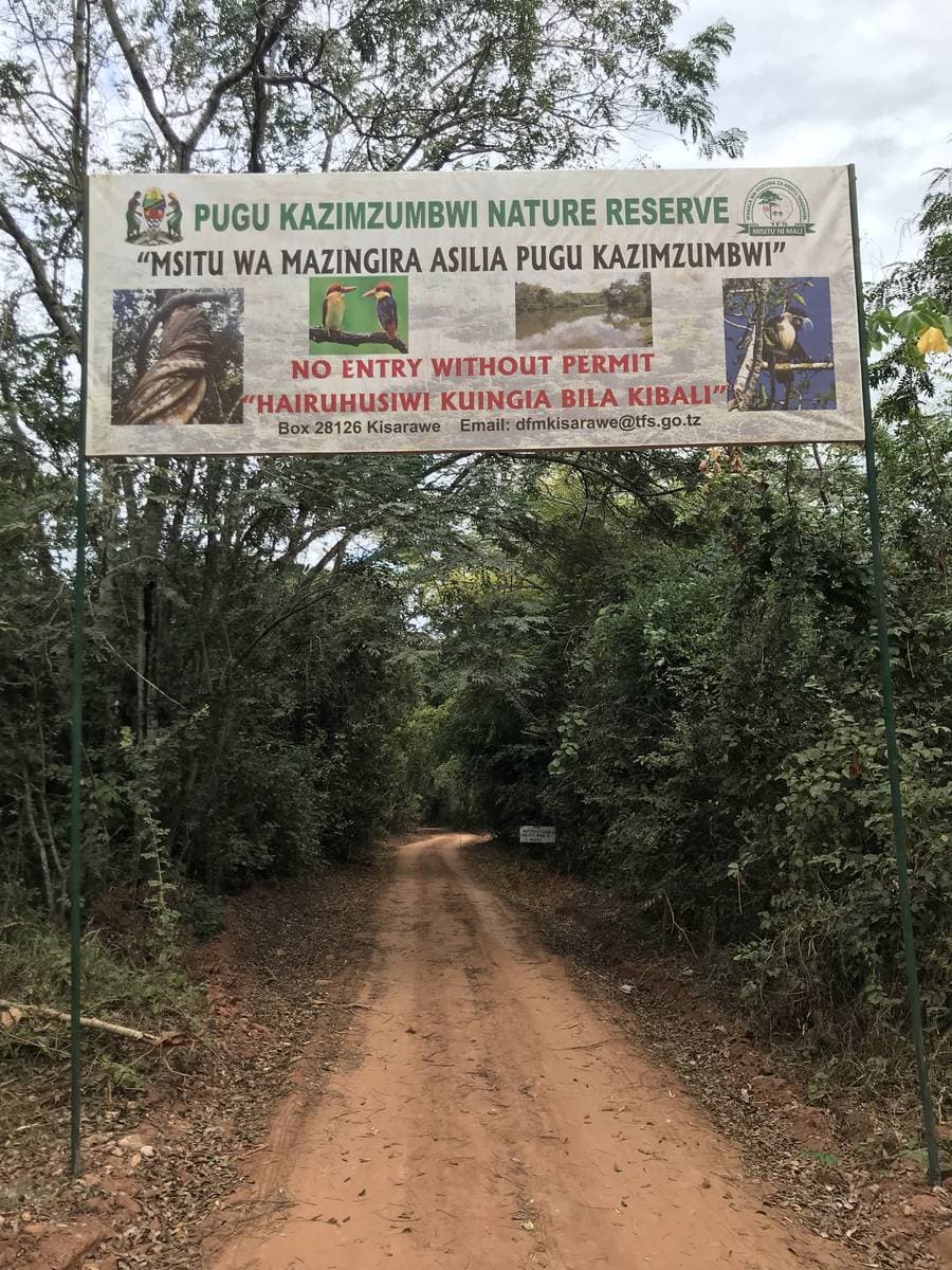 A banner over a red dirt track reading Pugu Kazimzumbwi Nature Reserve, no entry without permit, with dense green forest either side